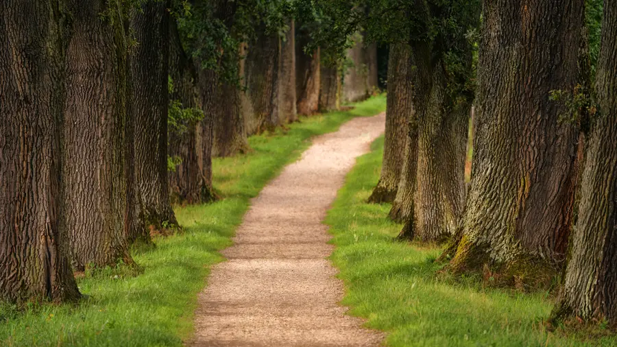 Building from the Outside In: TrndX.ai's Path to Scalable Cloud Innovations